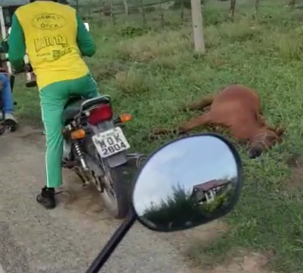 Jovem morre após colidir moto contra animal no vale do Piancó