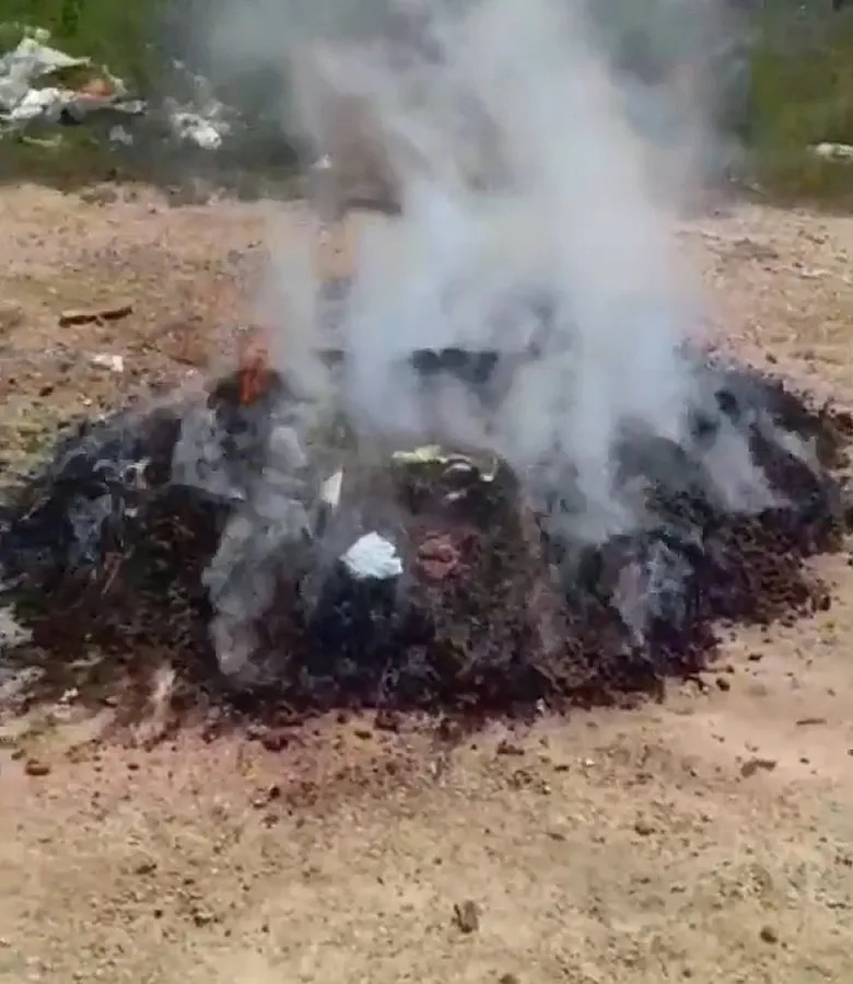 Polícia Civil incinera 60 quilos de maconha no Vale do Piancó, nesta terça-feira