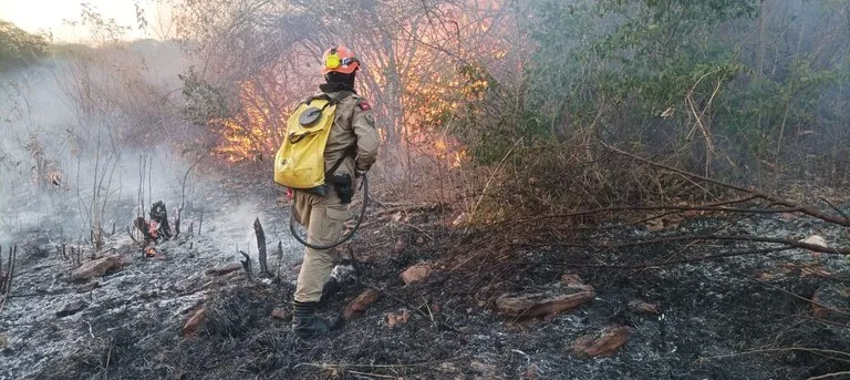 NO SERTÃO: incêndio de grandes proporções consome reserva ambiental no interior do estado