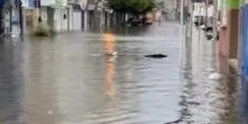 Chuva causa alagamentos em vários bairros do município de Patos