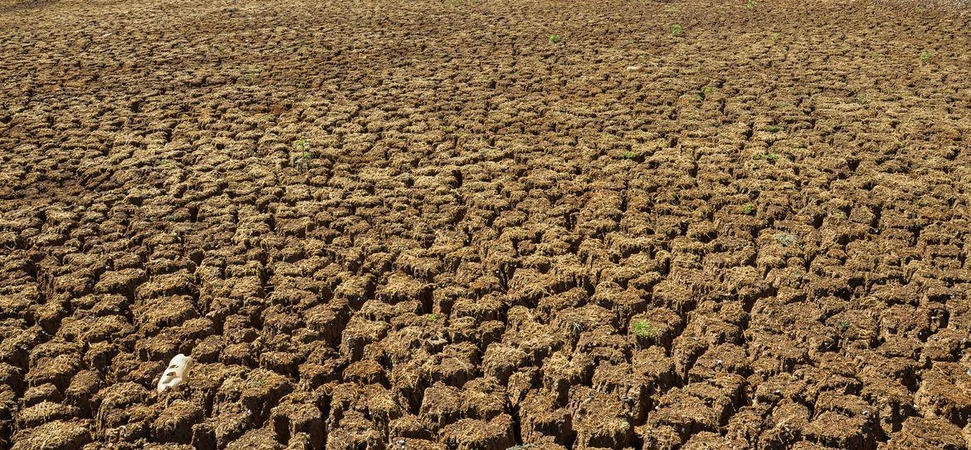 ESTIAGEM: Governo reconhece quatro cidades paraibanas em situação de emergência