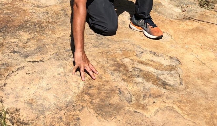 Maior pegada de dinossauro do Brasil é encontrada na zona rural do município de Sousa