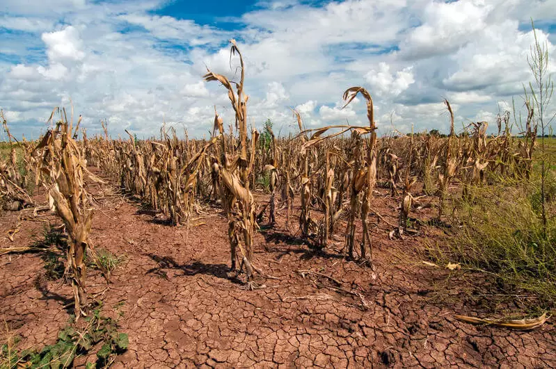 Duas cidades paraibanas entram em situação de emergência por causa da estiagem