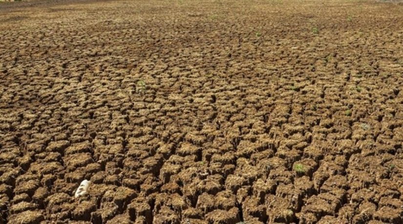 Quatro cidades paraibanas entram em situação de emergência por causa da seca